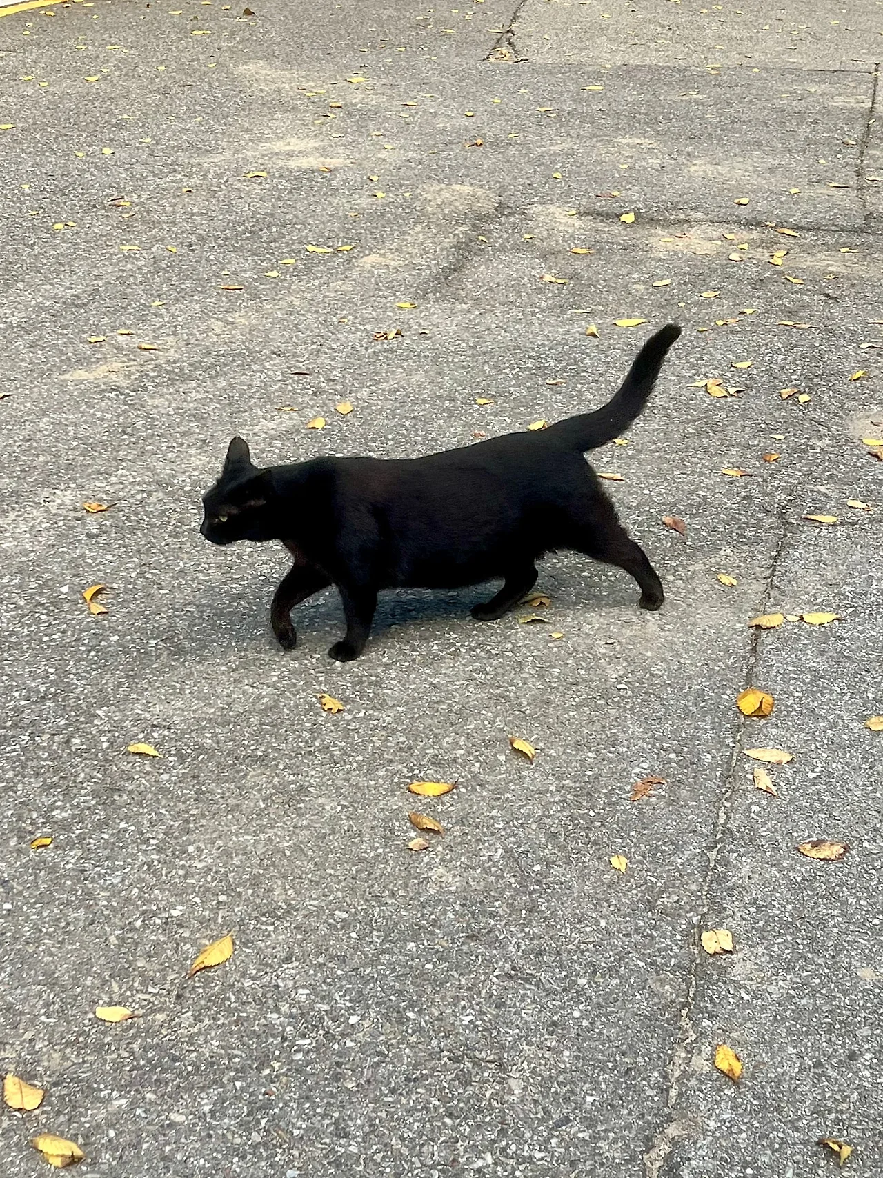 IMG%EF%BC%BF3340.jpg?type=w1600