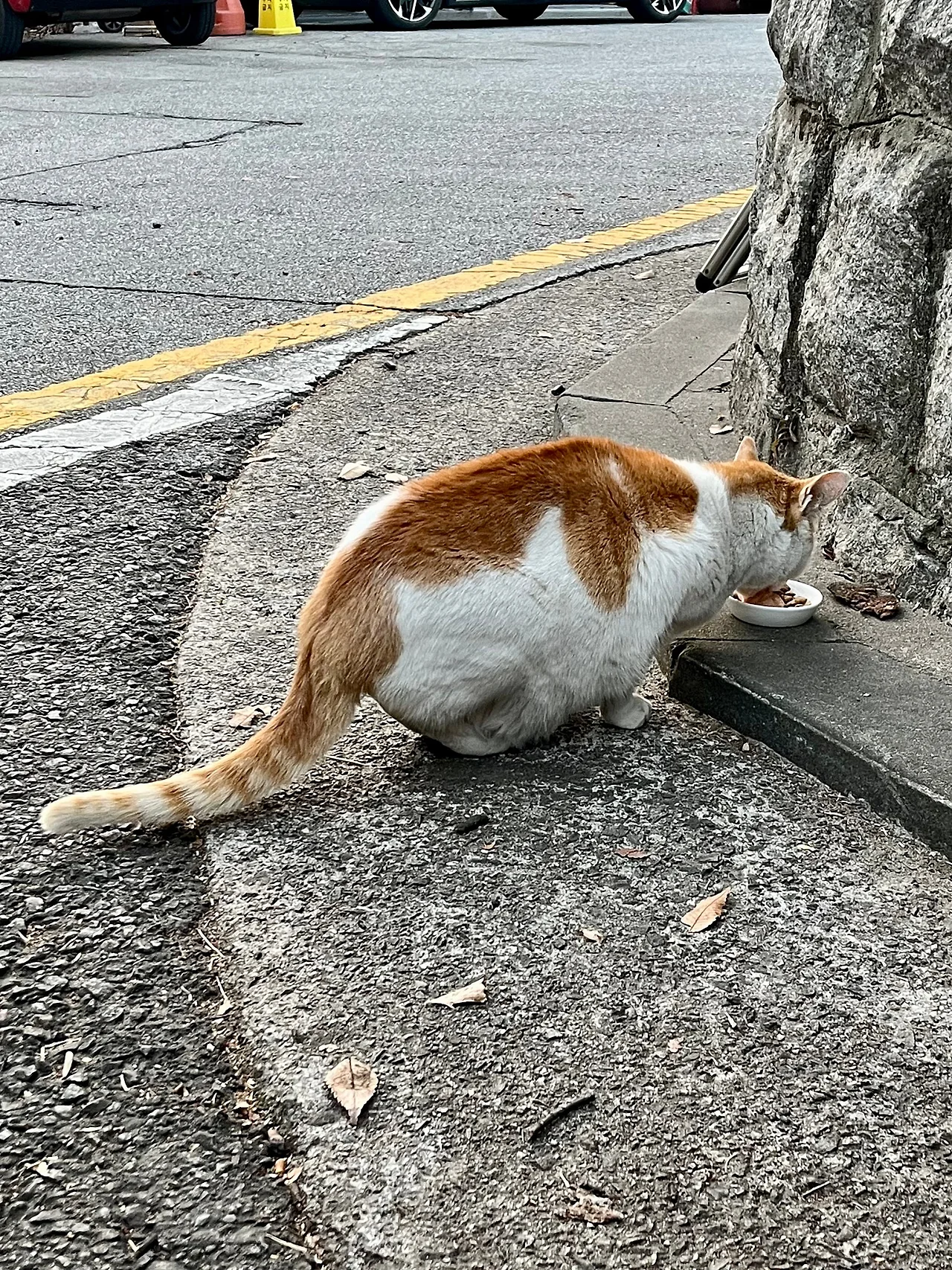 IMG%EF%BC%BF0698.jpg?type=w1600