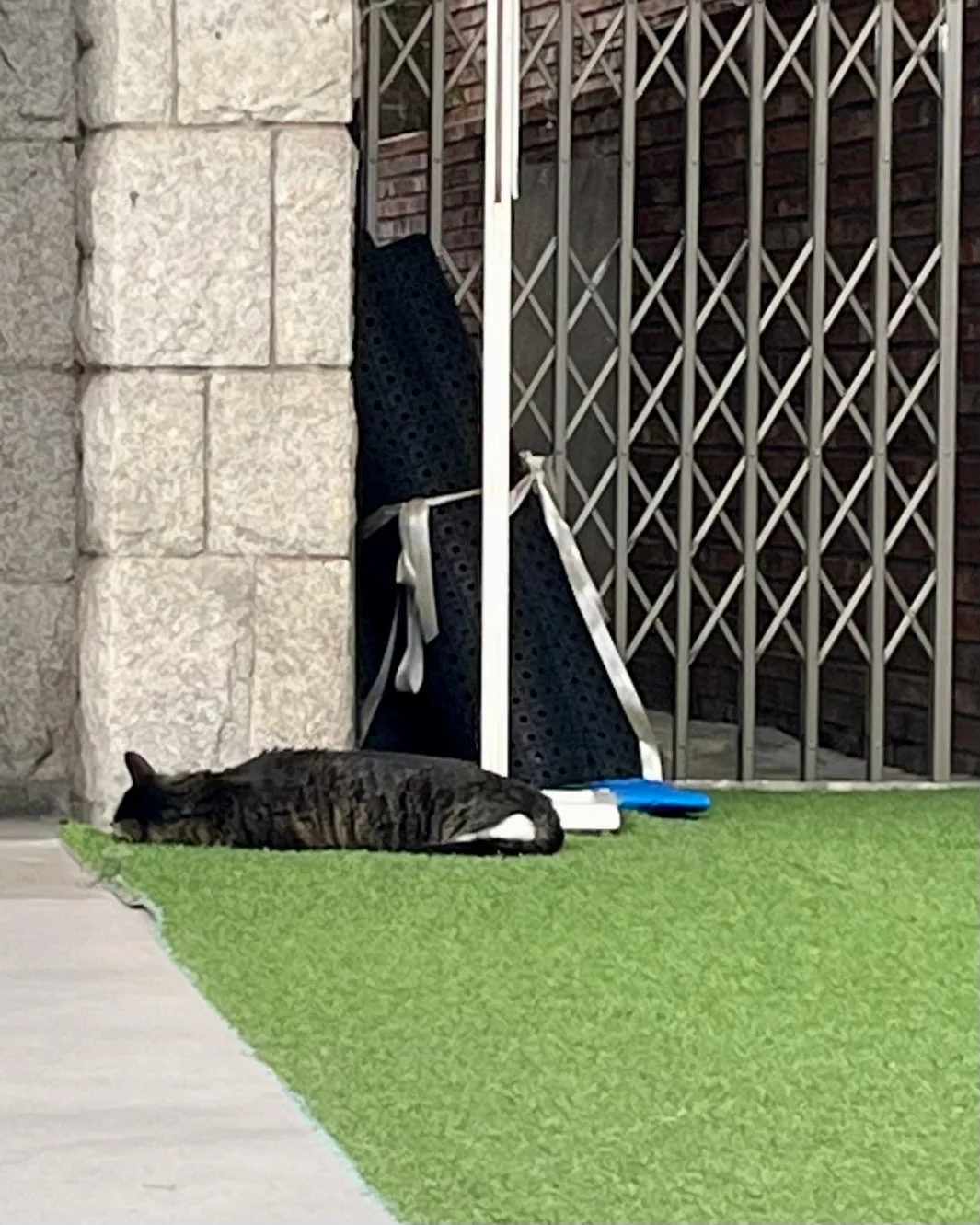 IMG%EF%BC%BF3647.jpg?type=w1600