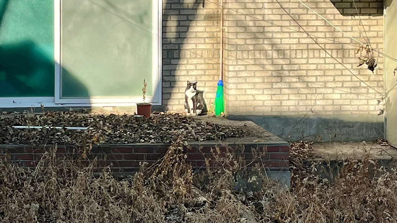 SE-9F86C83C-7EC5-4ED6-96BB-89CC9478DD65.jpg?type=w1600