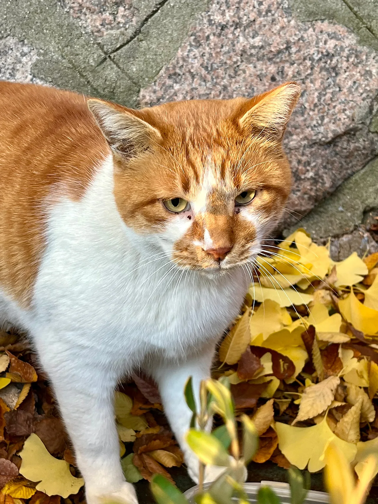 IMG%EF%BC%BF4875.jpg?type=w1600