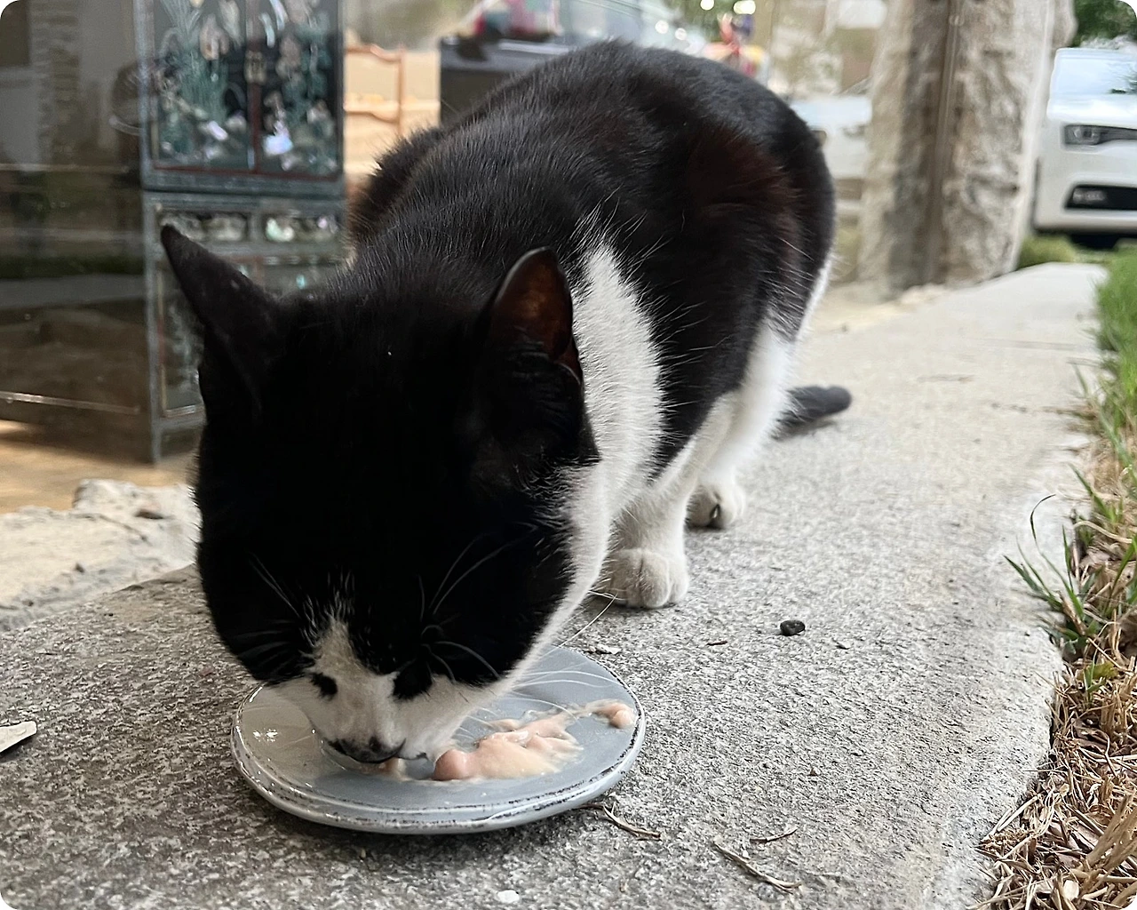 IMG_4638.jpg?type=w1600