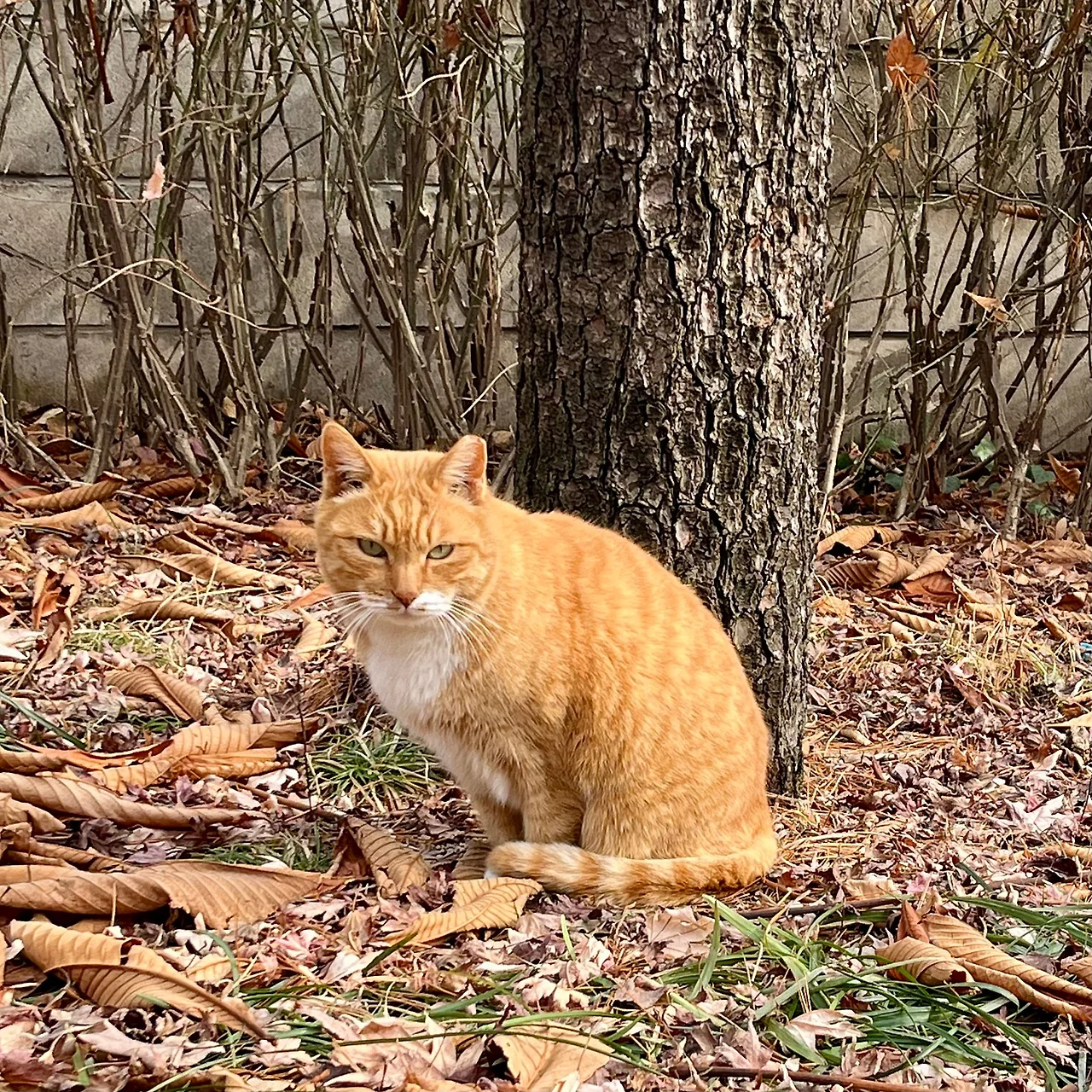 IMG%EF%BC%BF9911.jpg?type=w1600