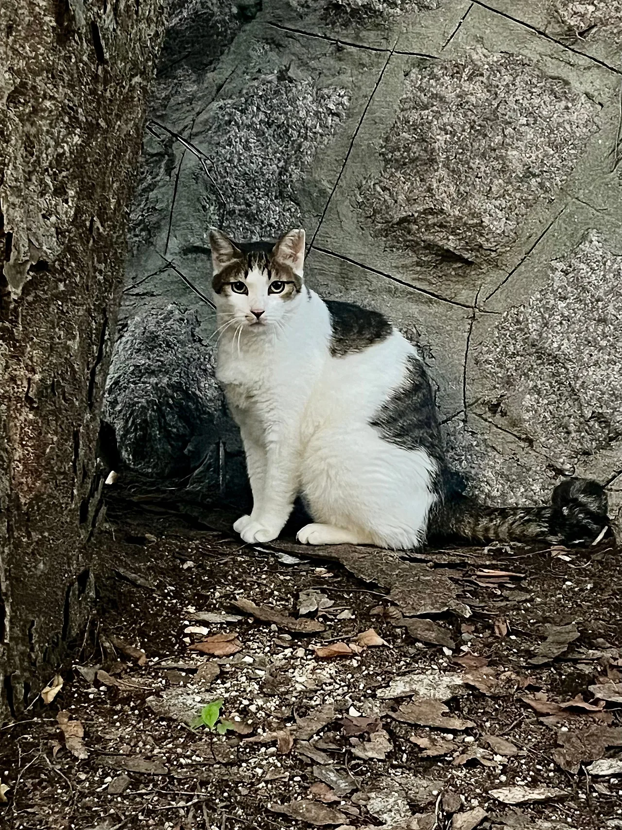 IMG%EF%BC%BF1078.jpg?type=w1600