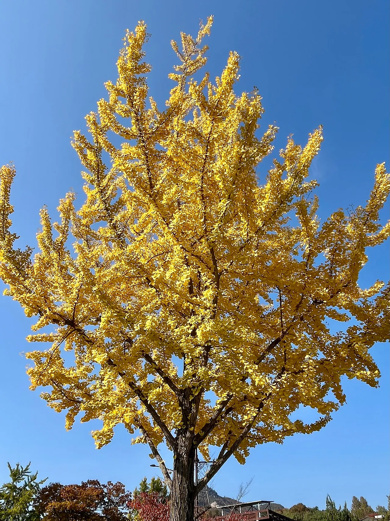 IMG%EF%BC%BF4713.jpg?type=w1600