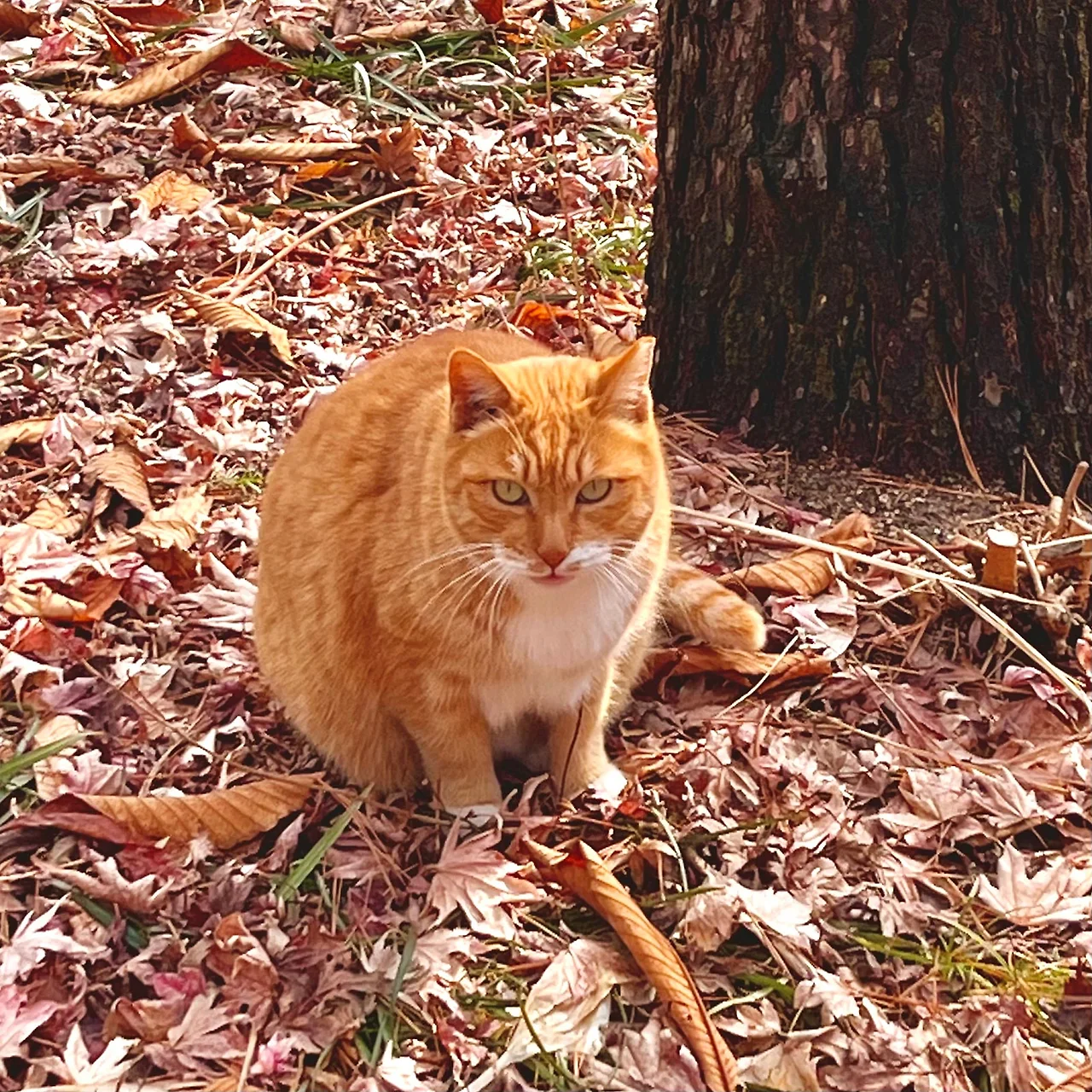 IMG%EF%BC%BF9906.jpg?type=w1600