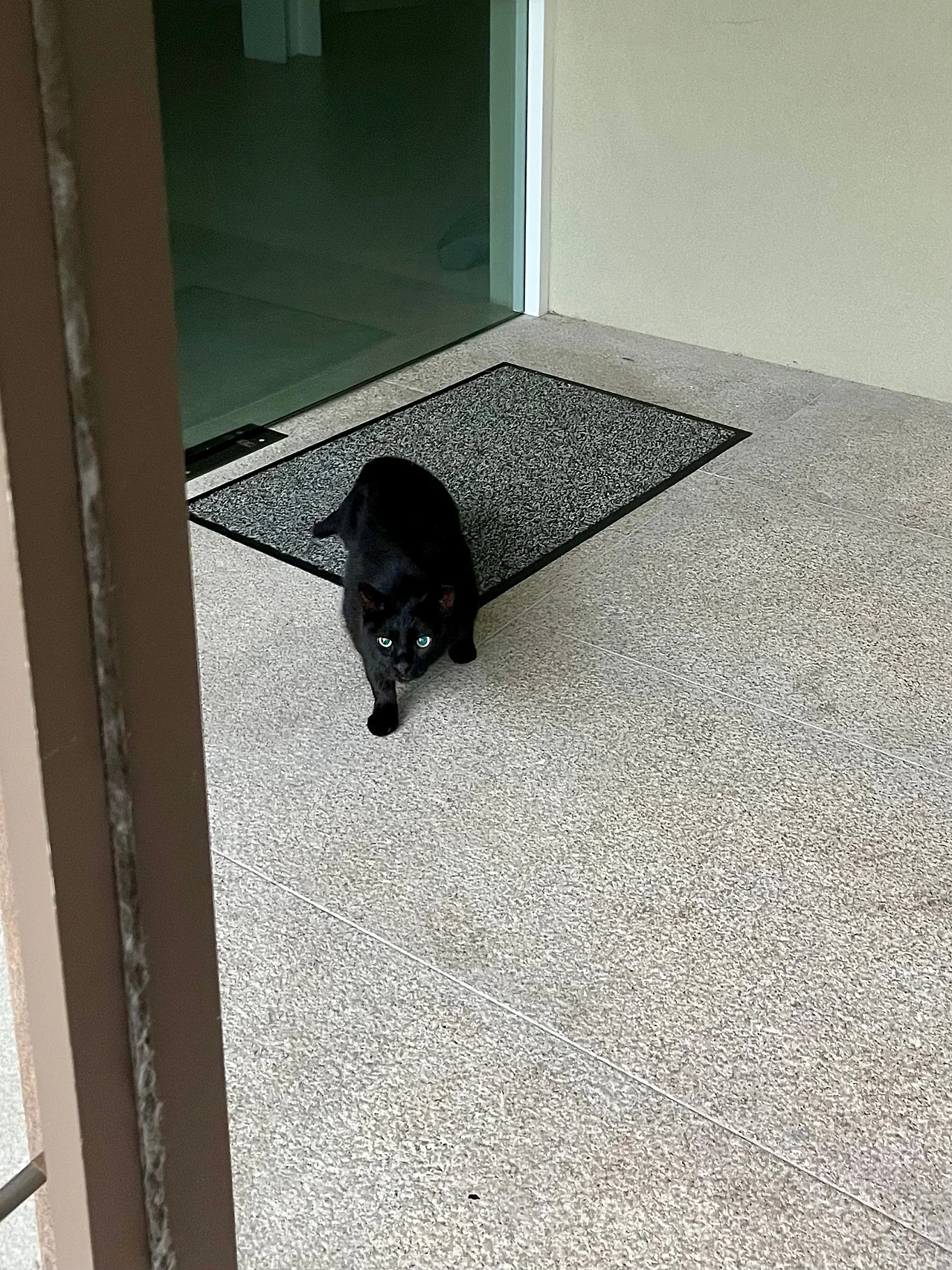 IMG%EF%BC%BF0831.jpg?type=w1600