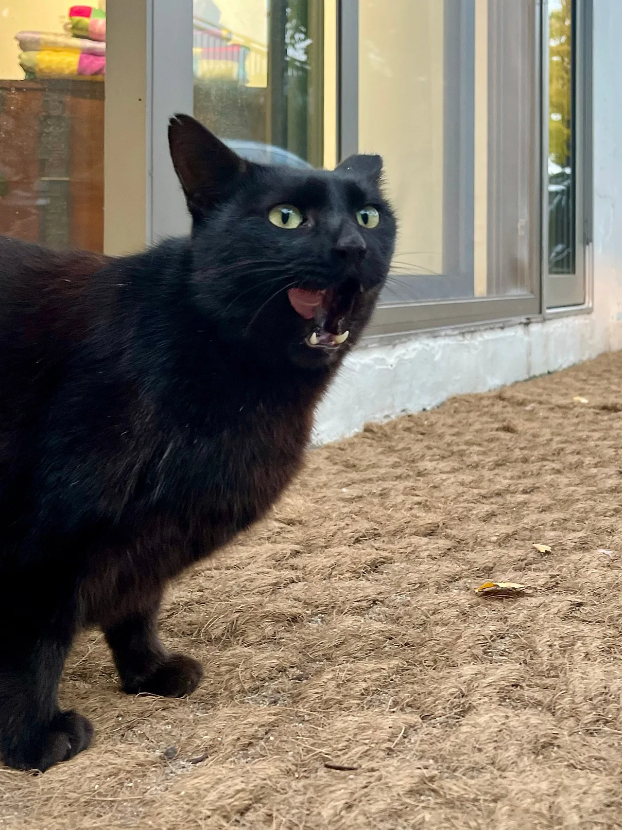 IMG%EF%BC%BF4336.jpg?type=w1600