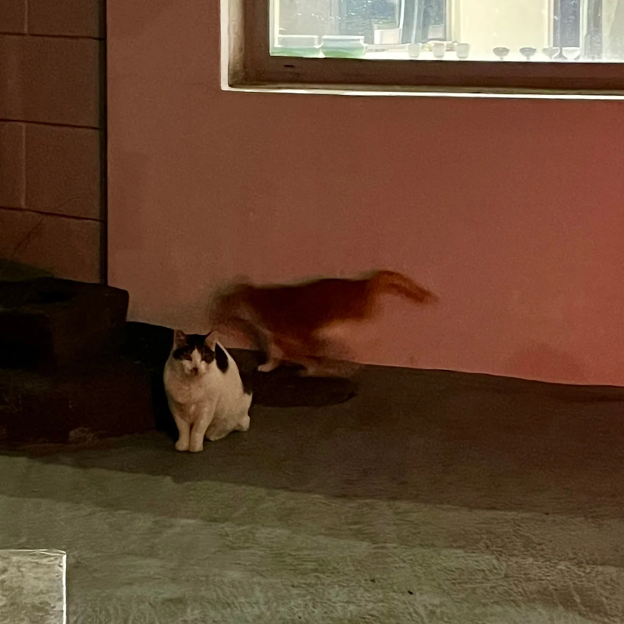 IMG%EF%BC%BF9253.jpg?type=w1600