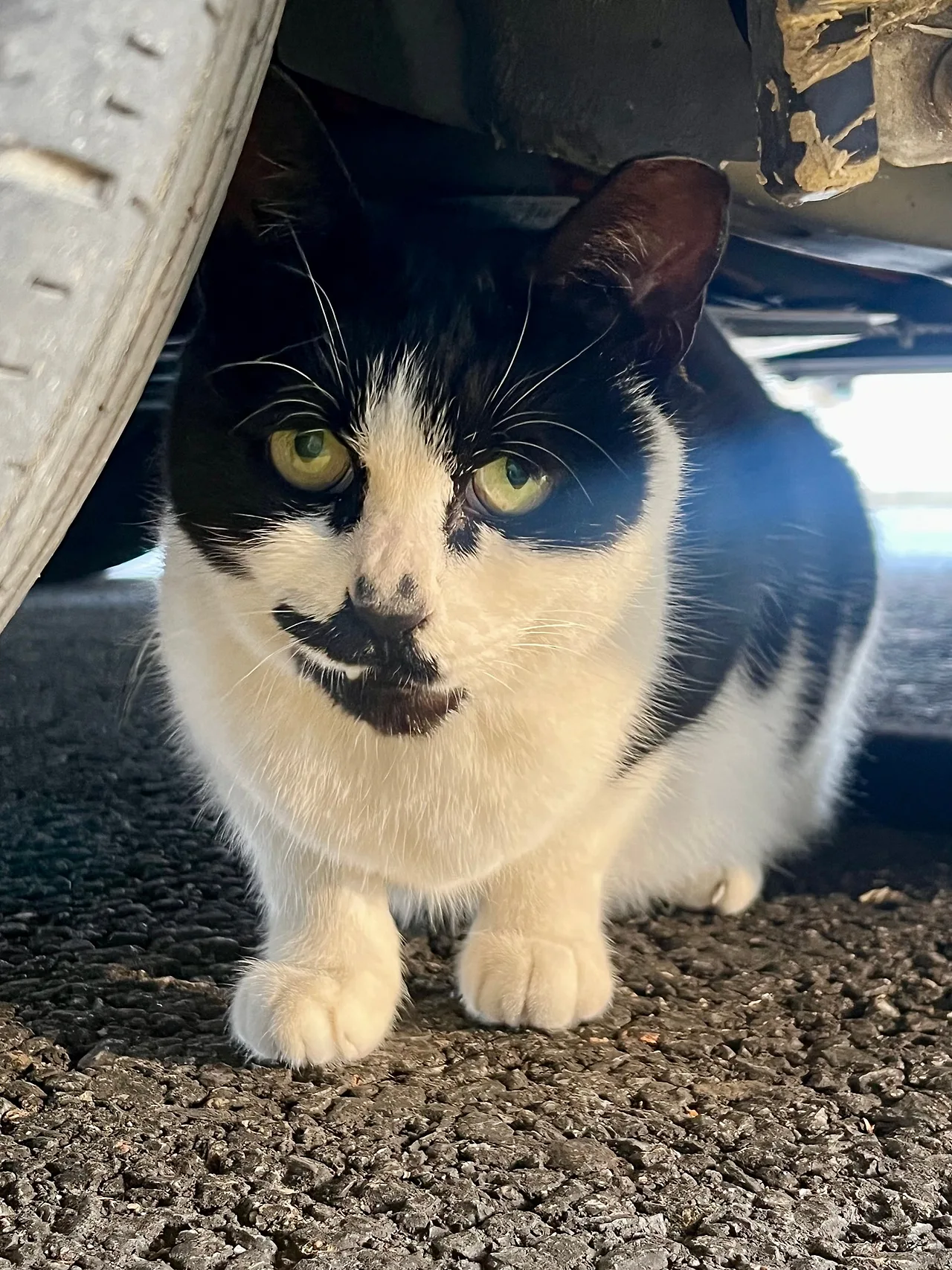 IMG%EF%BC%BF4246.jpg?type=w1600