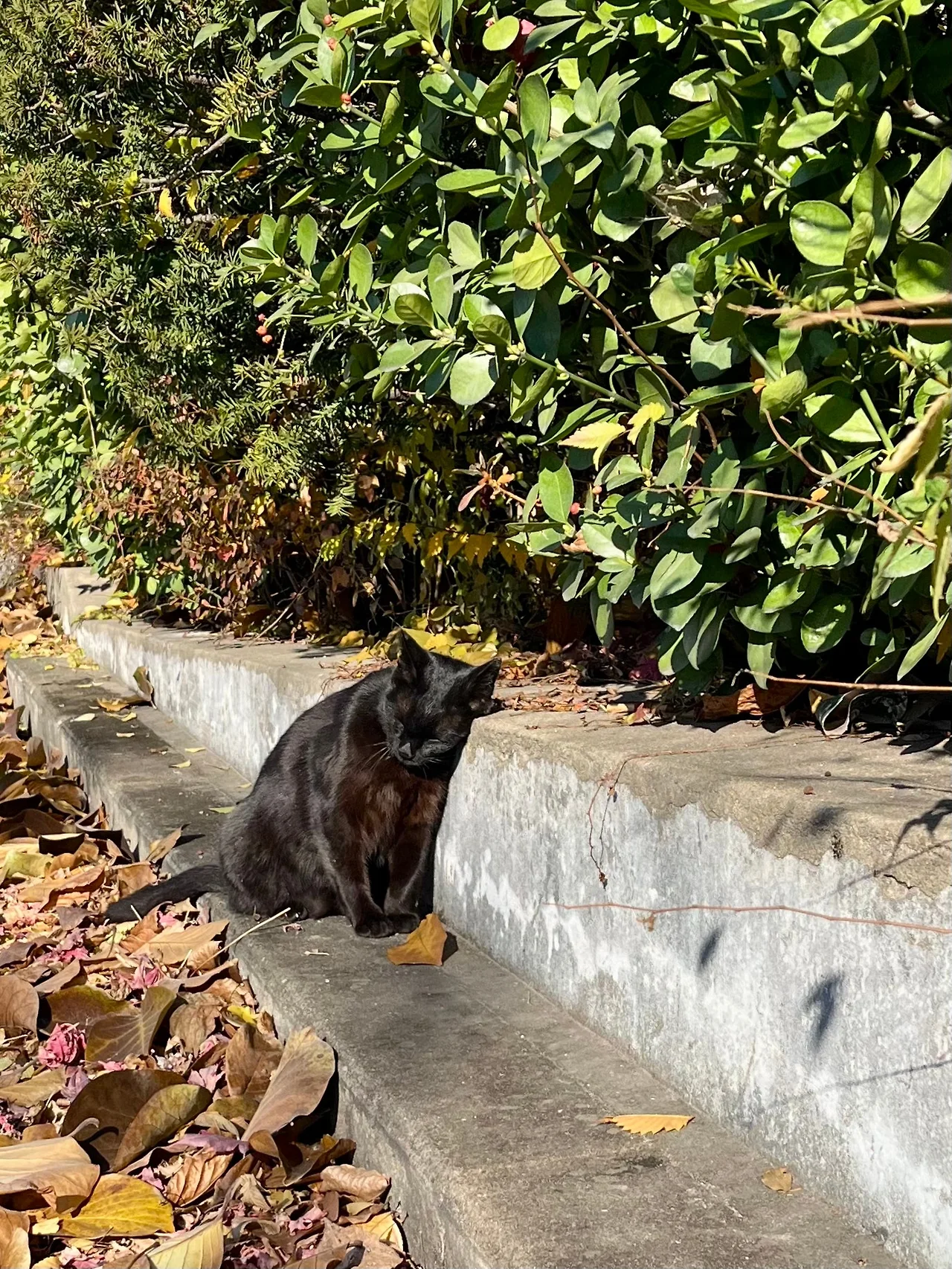 IMG%EF%BC%BF8652.jpg?type=w1600