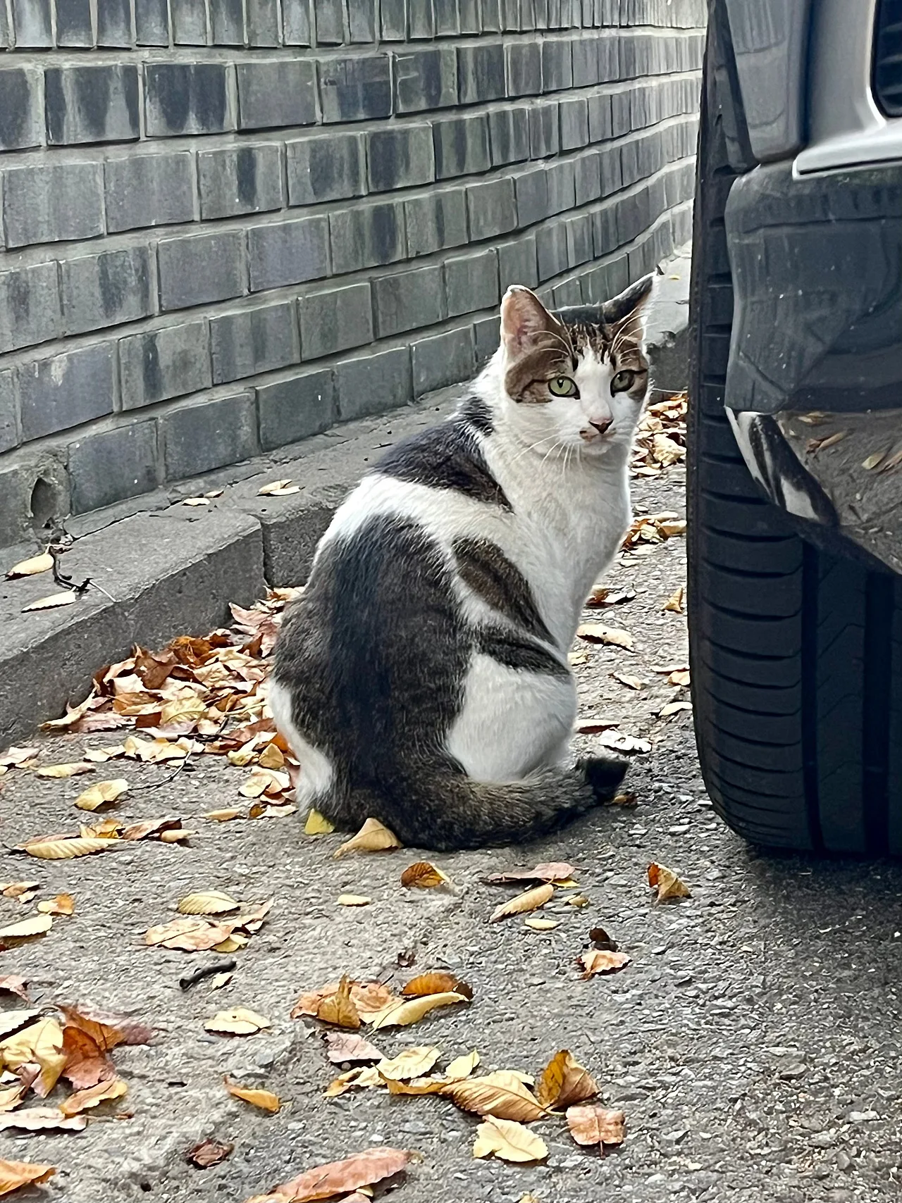 IMG%EF%BC%BF4397.jpg?type=w1600