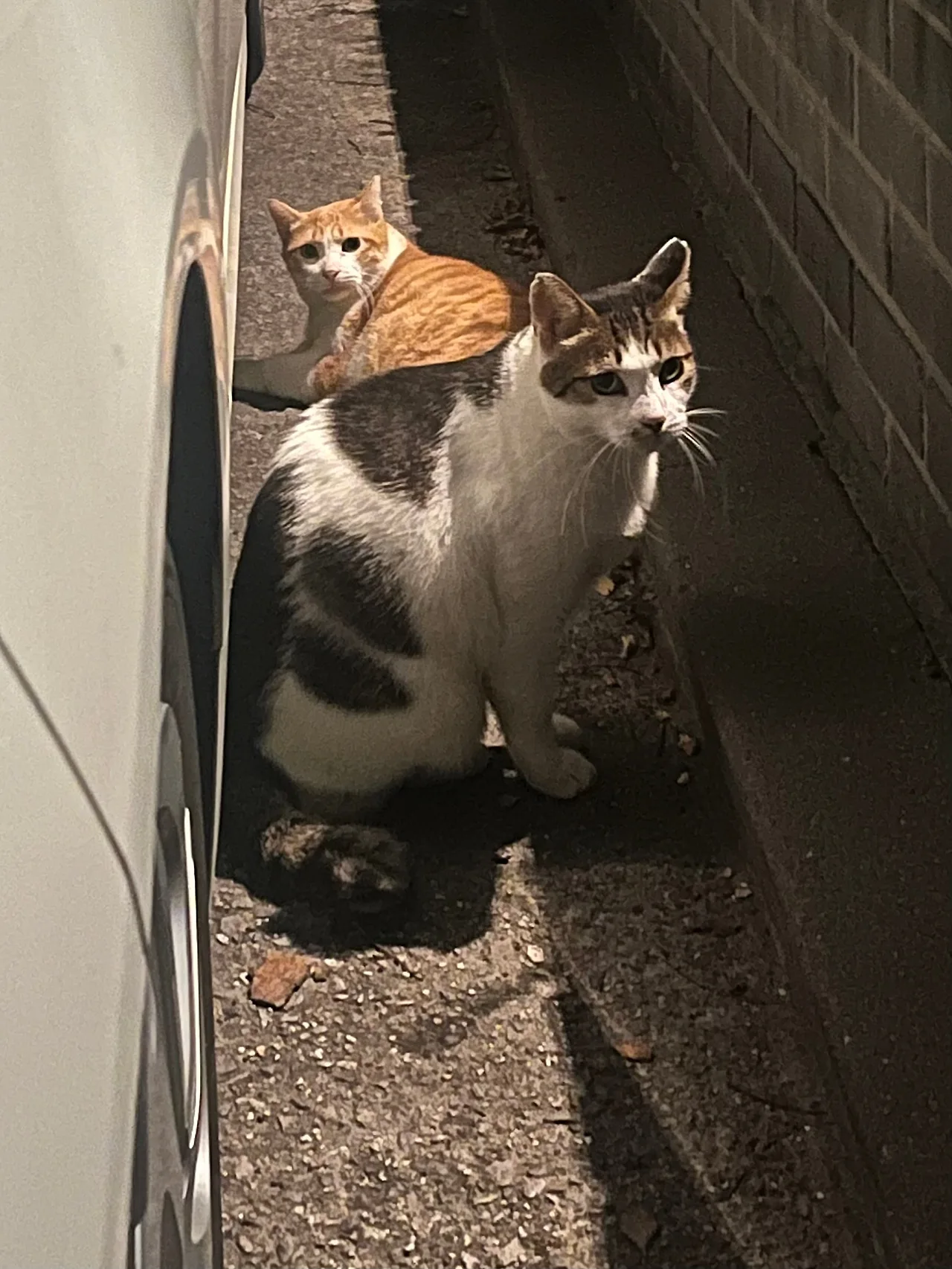 IMG%EF%BC%BF1435.jpg?type=w1600