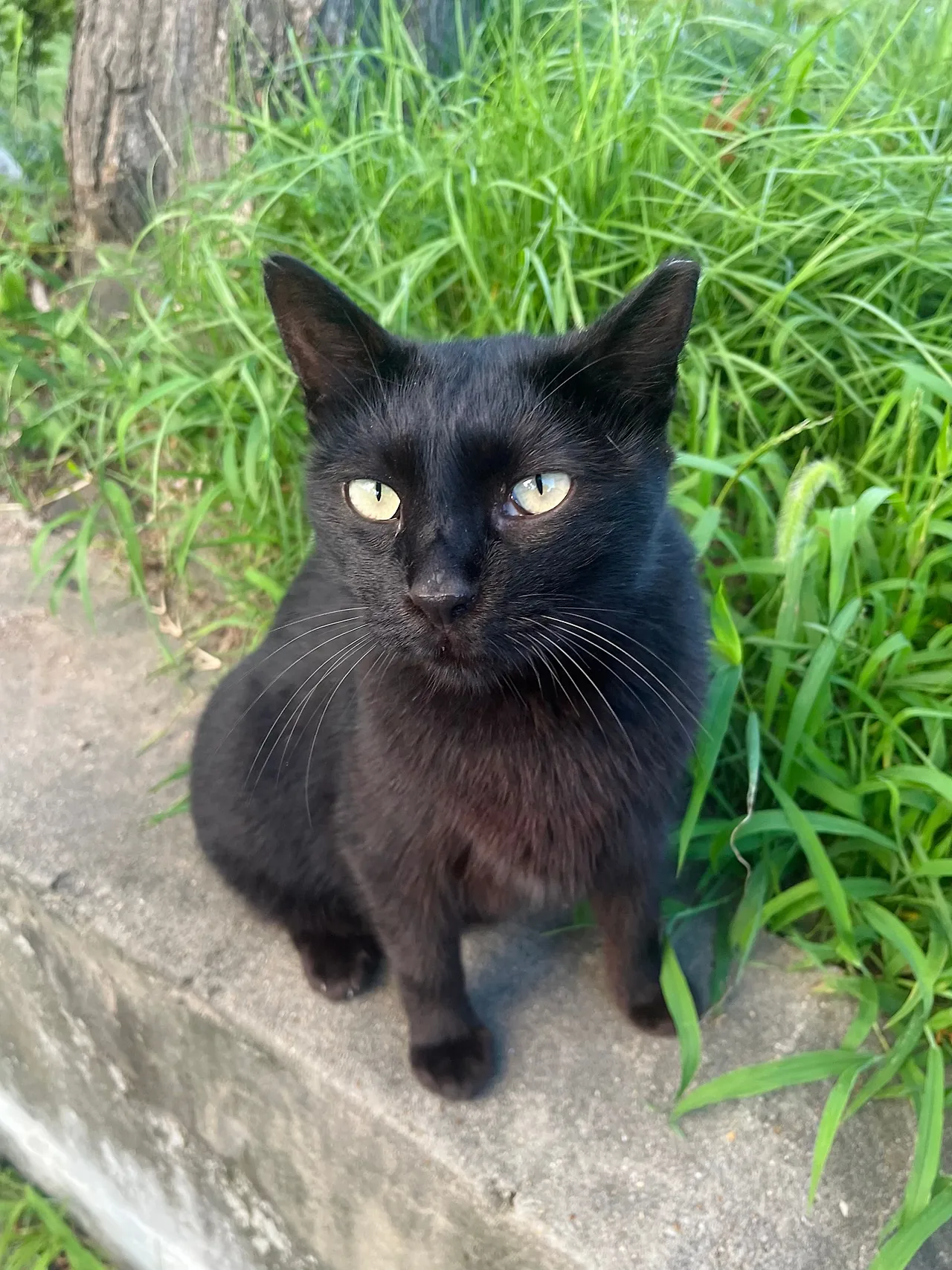 IMG%EF%BC%BF8763.jpg?type=w1600