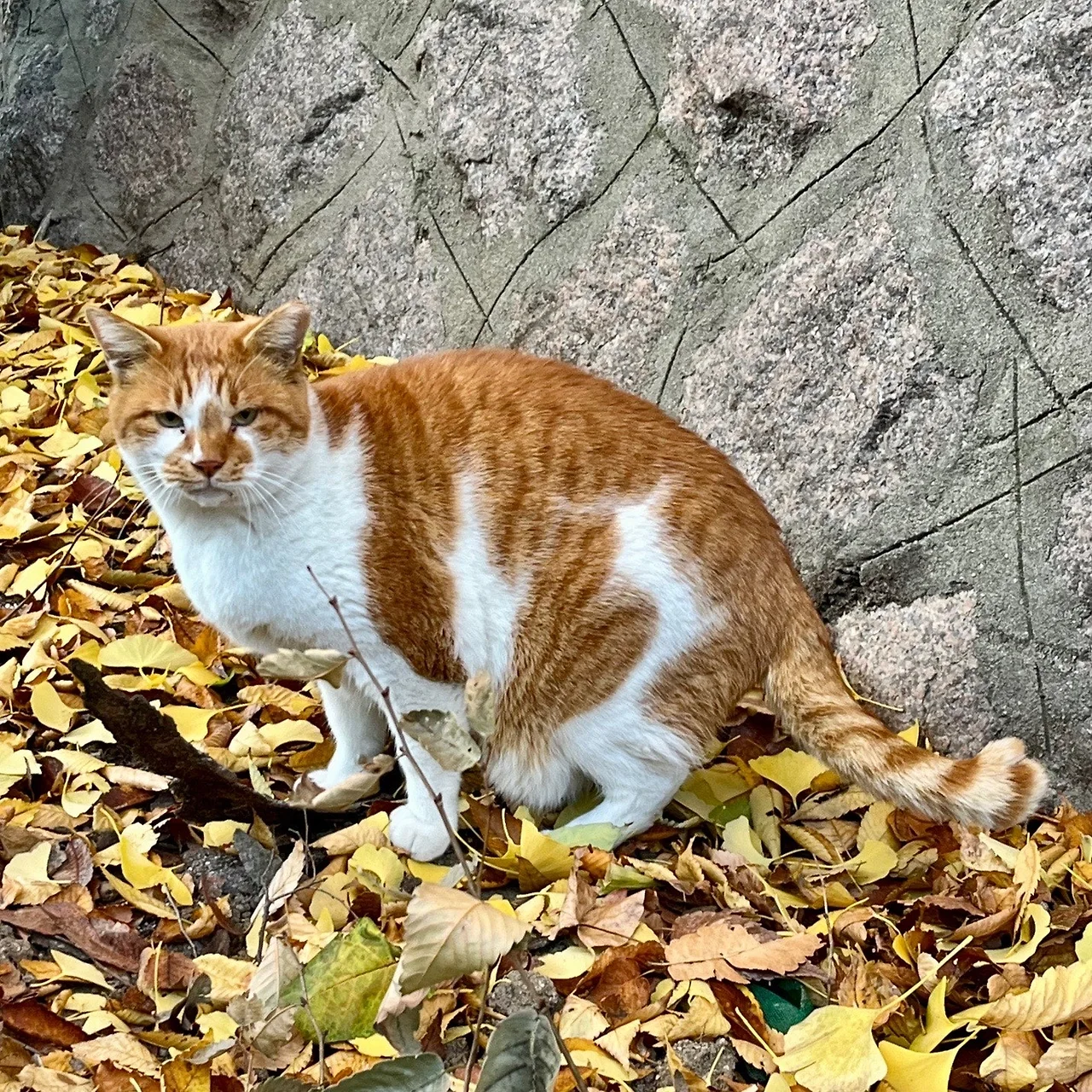 output%EF%BC%BF2790263645.jpg?type=w1600