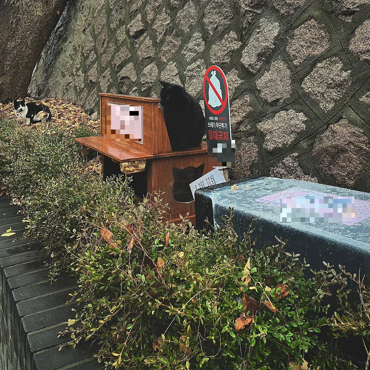 IMG%EF%BC%BF9329.jpg?type=w1600