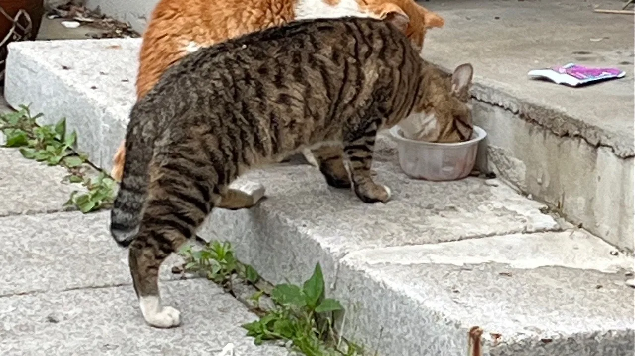 output%EF%BC%BF3225108215.jpg?type=w1600