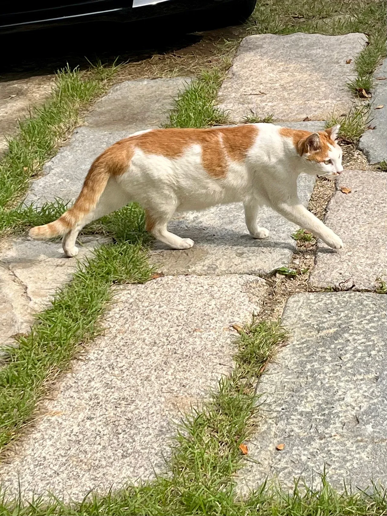 IMG%EF%BC%BF2813.jpg?type=w1600