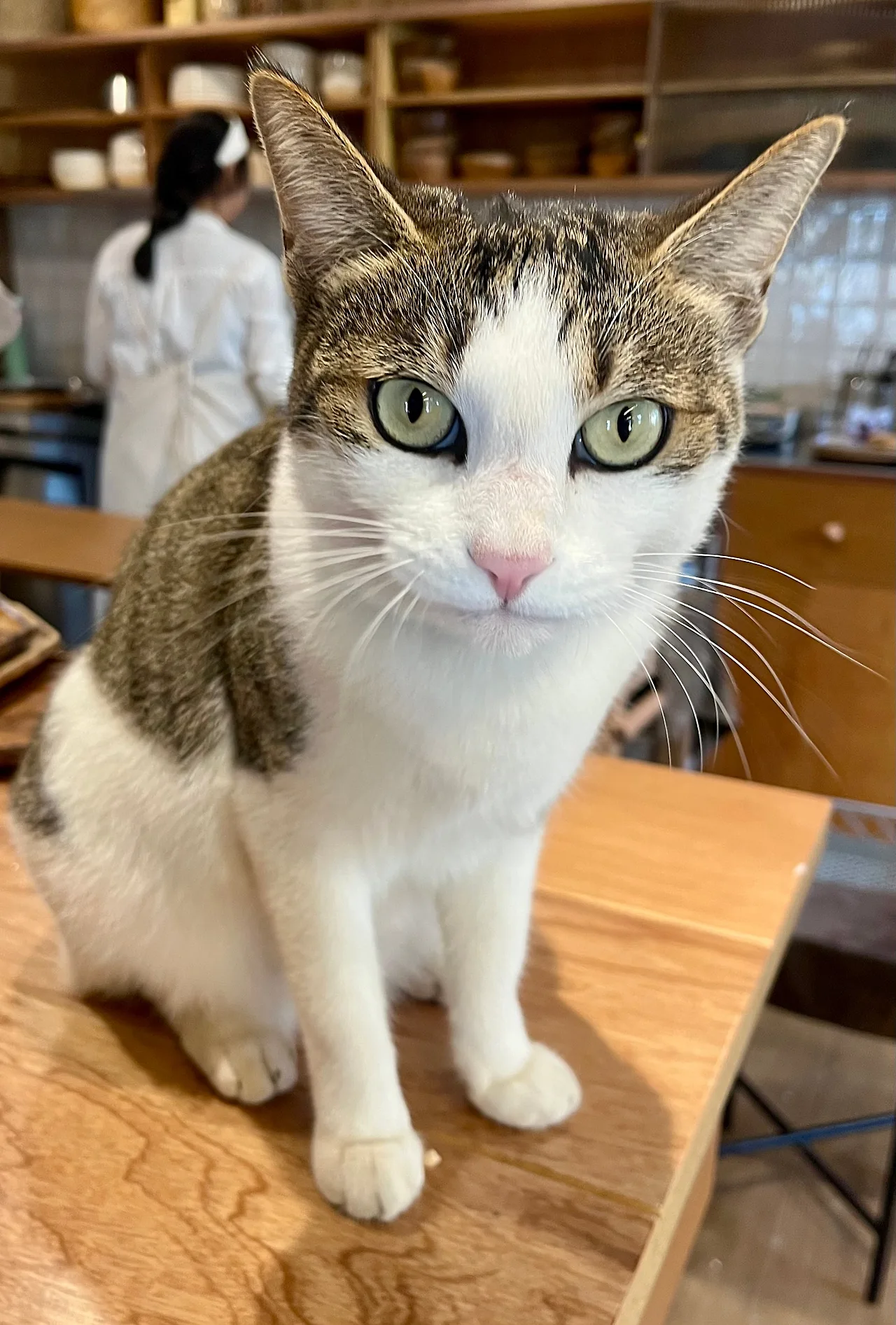 IMG%EF%BC%BF3808.jpg?type=w1600