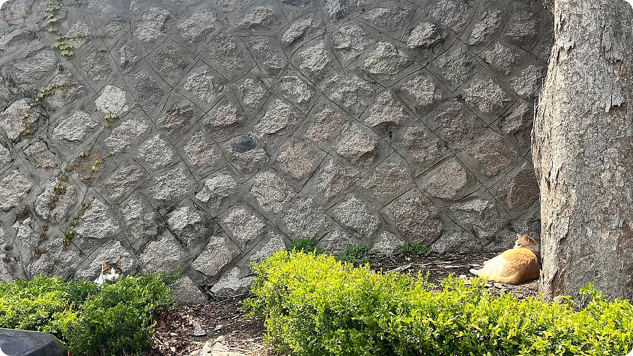 IMG_2962.jpg?type=w1600