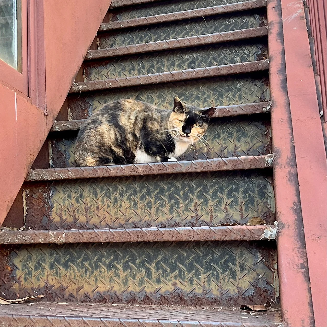 IMG%EF%BC%BF9977.jpg?type=w1600