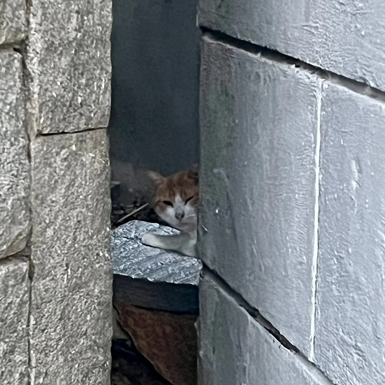 IMG%EF%BC%BF3469.jpg?type=w1600