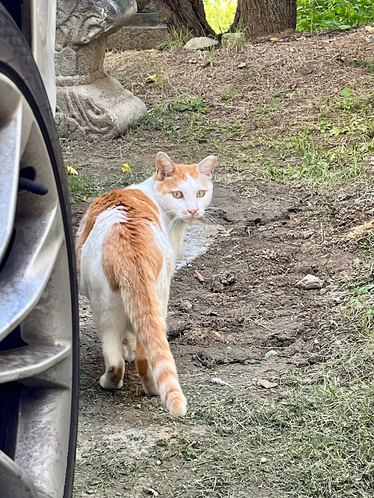 IMG%EF%BC%BF1213.jpg?type=w1600