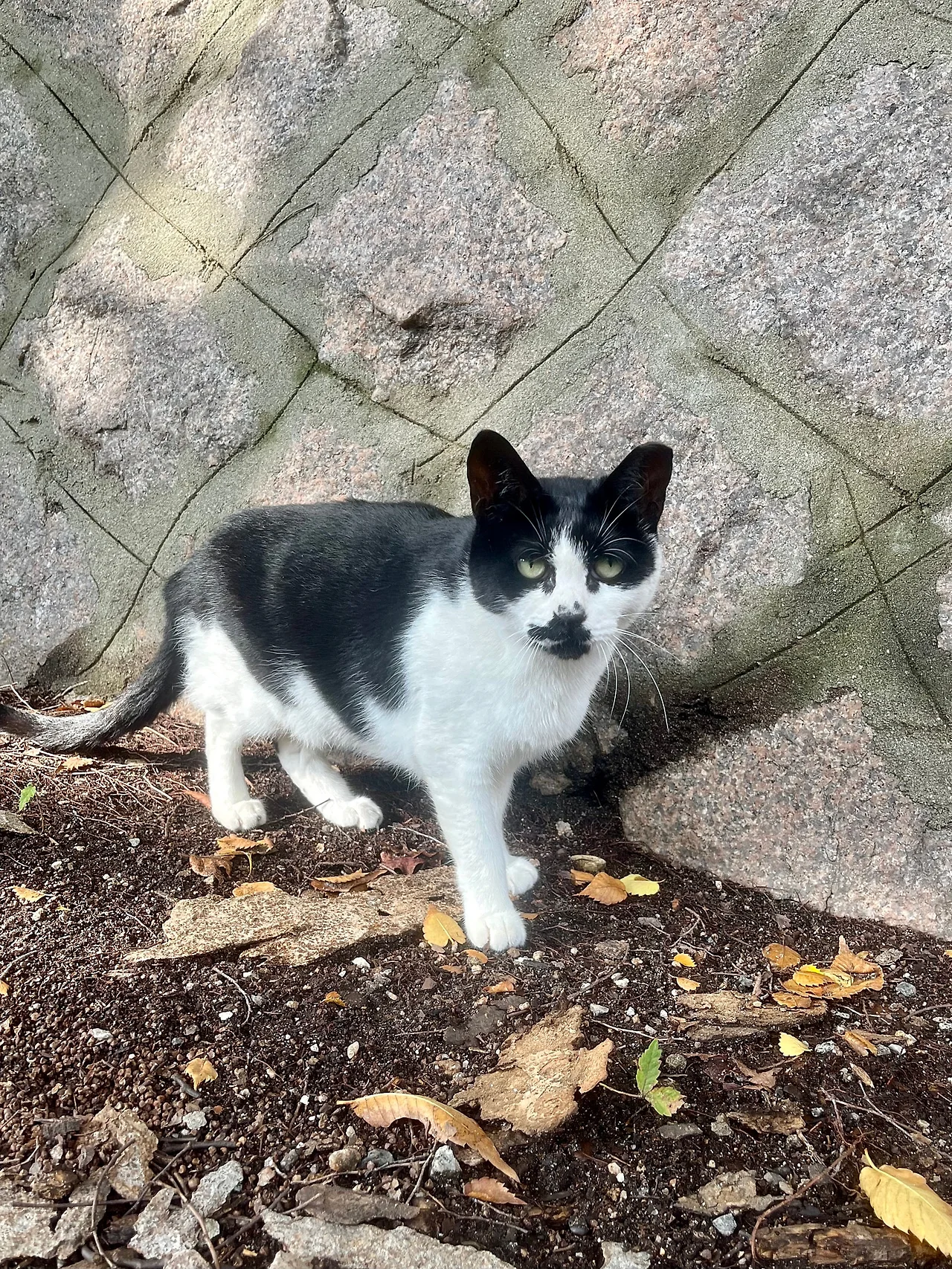 IMG%EF%BC%BF2243.jpg?type=w1600