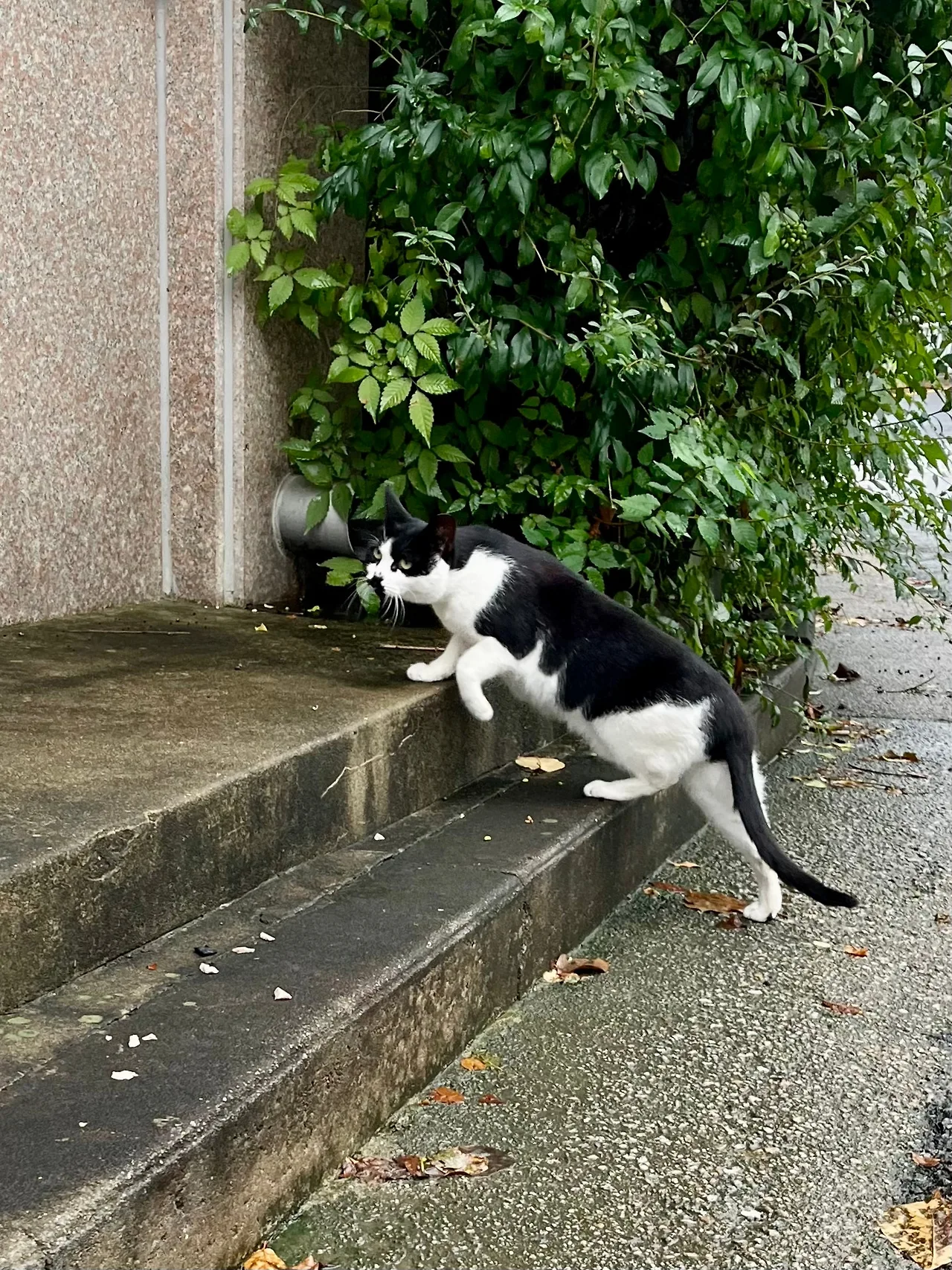 IMG%EF%BC%BF3126.jpg?type=w1600