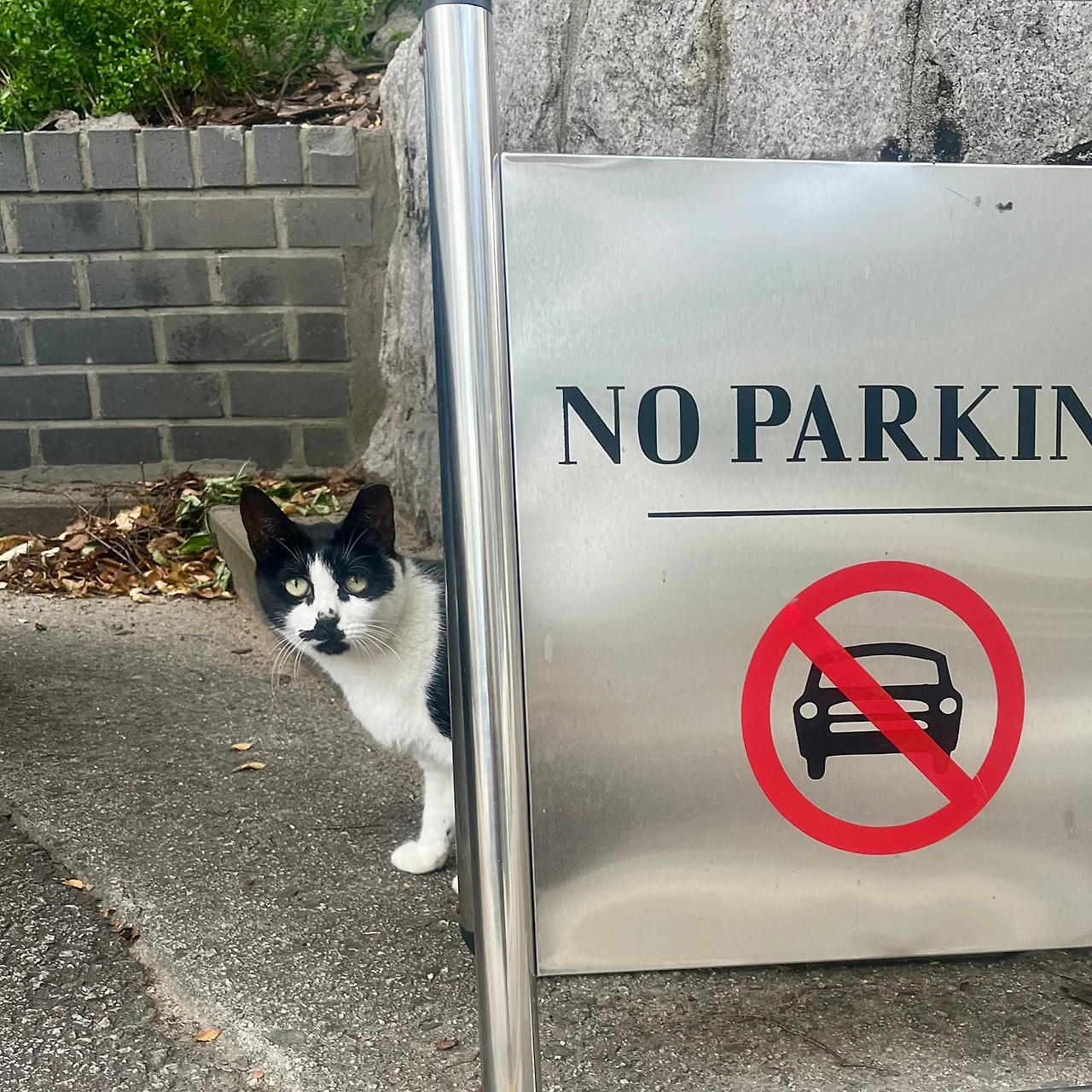 IMG%EF%BC%BF1969.jpg?type=w1600