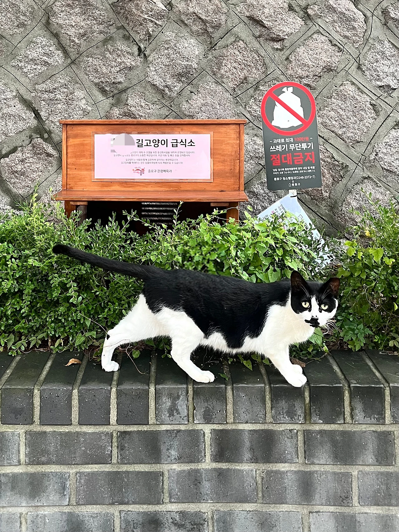 IMG%EF%BC%BF0548.jpg?type=w1600