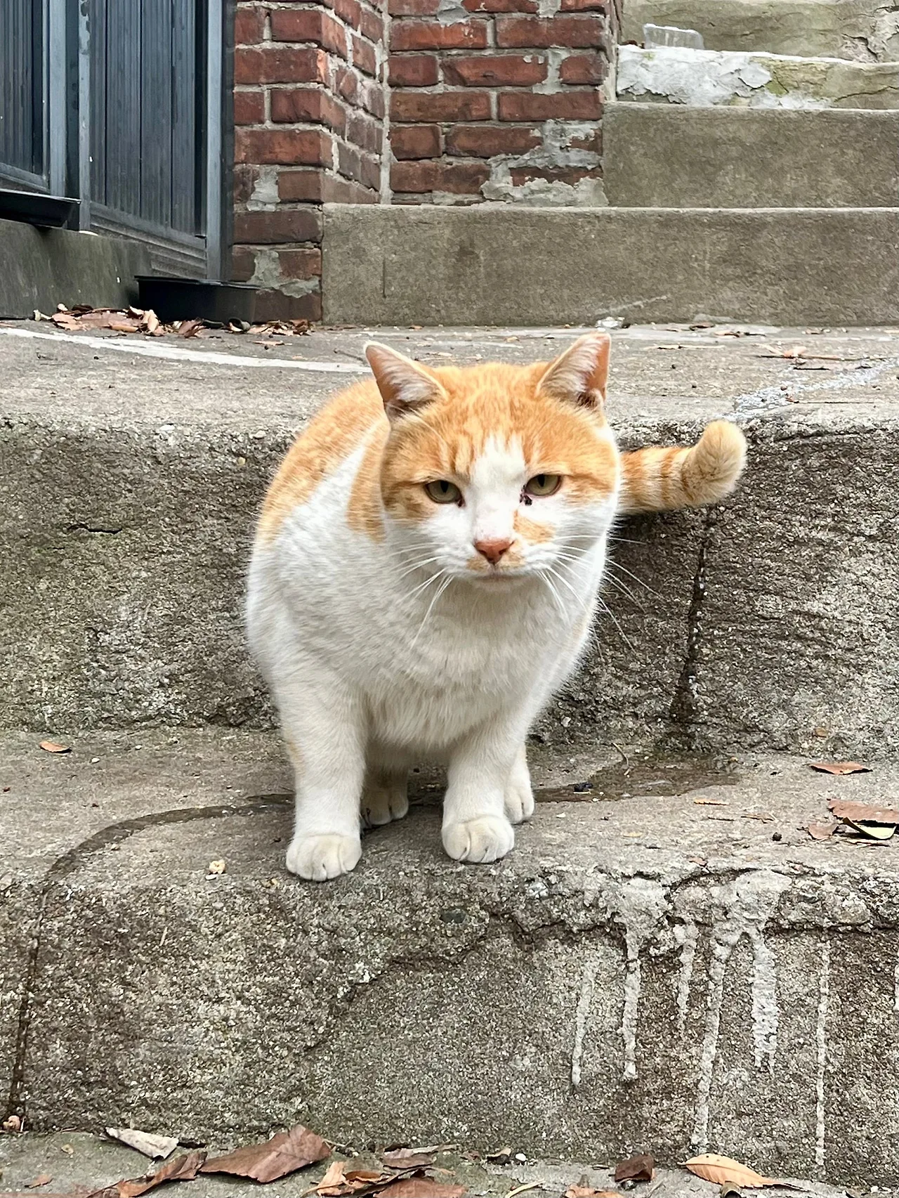 IMG%EF%BC%BF1273.jpg?type=w1600