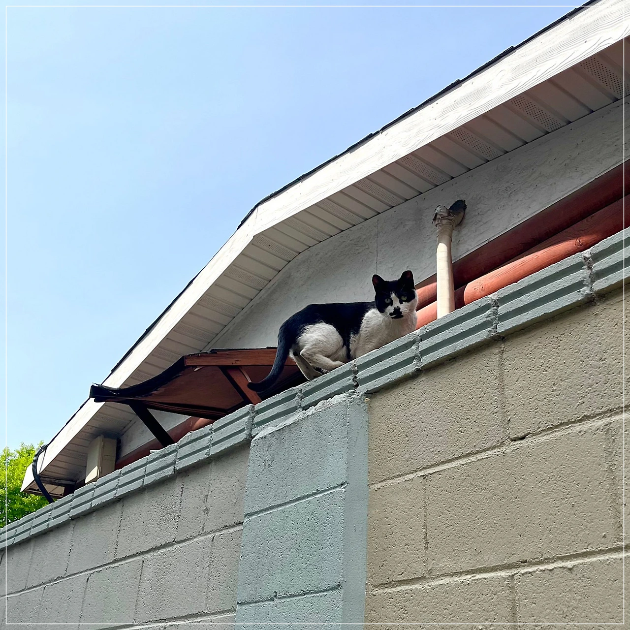 IMG_3638.jpg?type=w1600