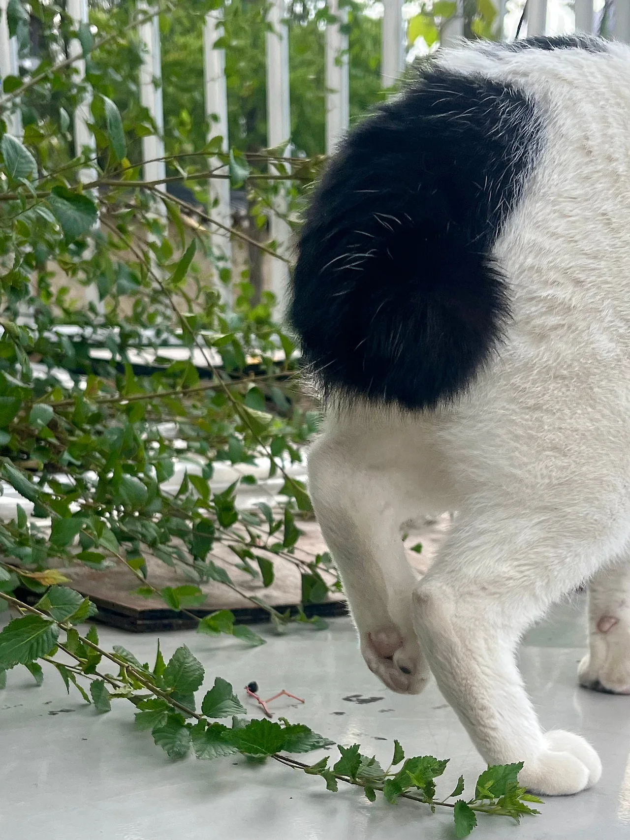 IMG%EF%BC%BF1990.jpg?type=w1600