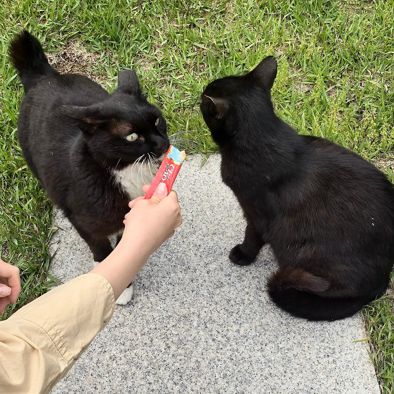 IMG_4817.JPG?type=w1600