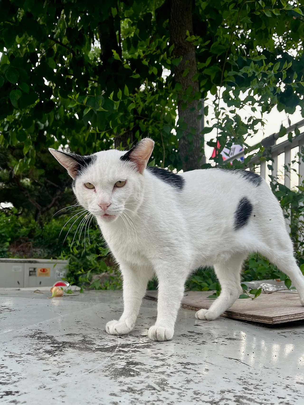 IMG%EF%BC%BF9945.jpg?type=w1600