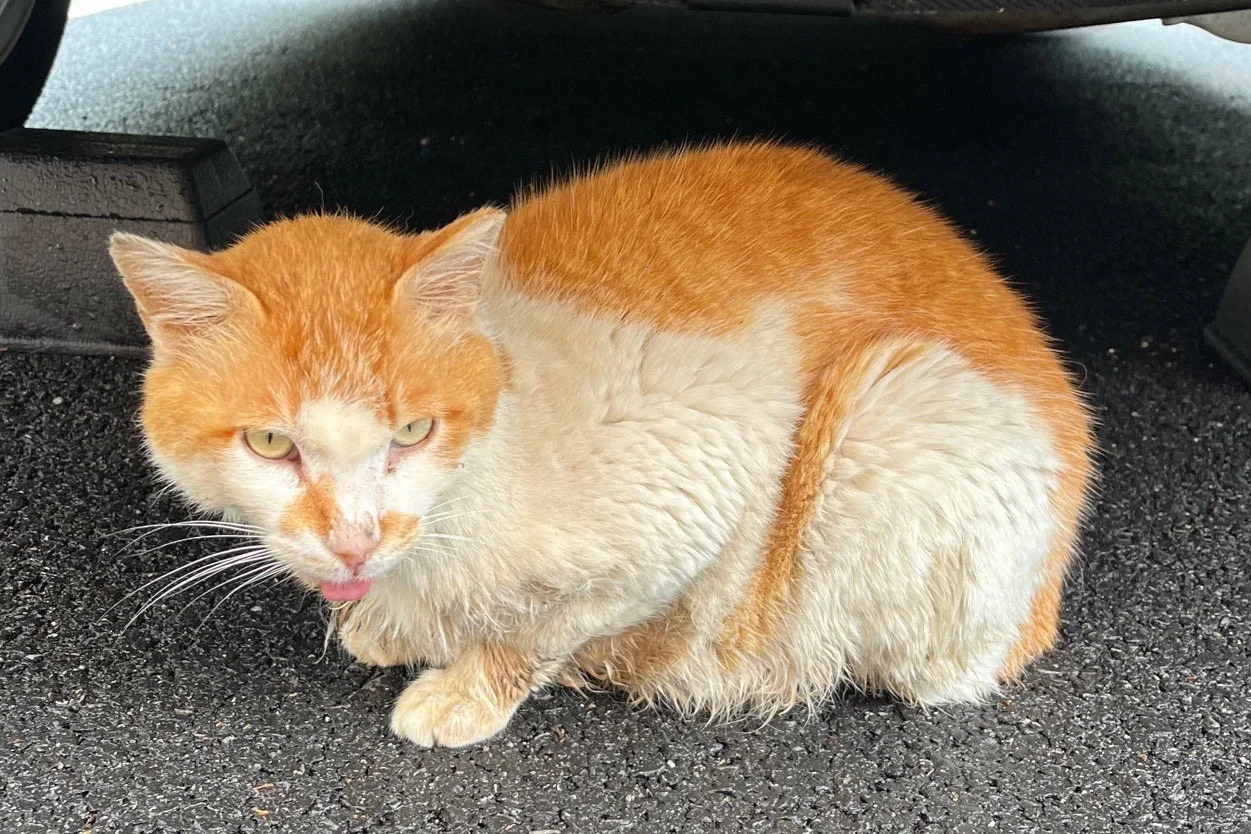 output%EF%BC%BF3121697911.jpg?type=w1600