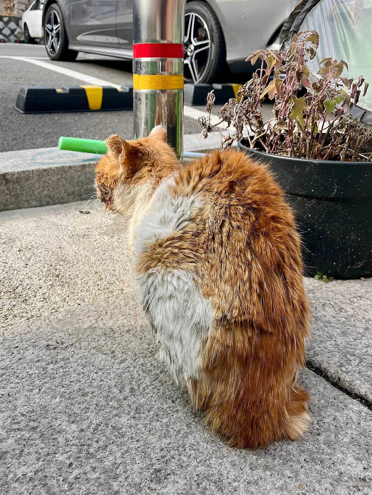 IMG%EF%BC%BF9202.jpg?type=w1600