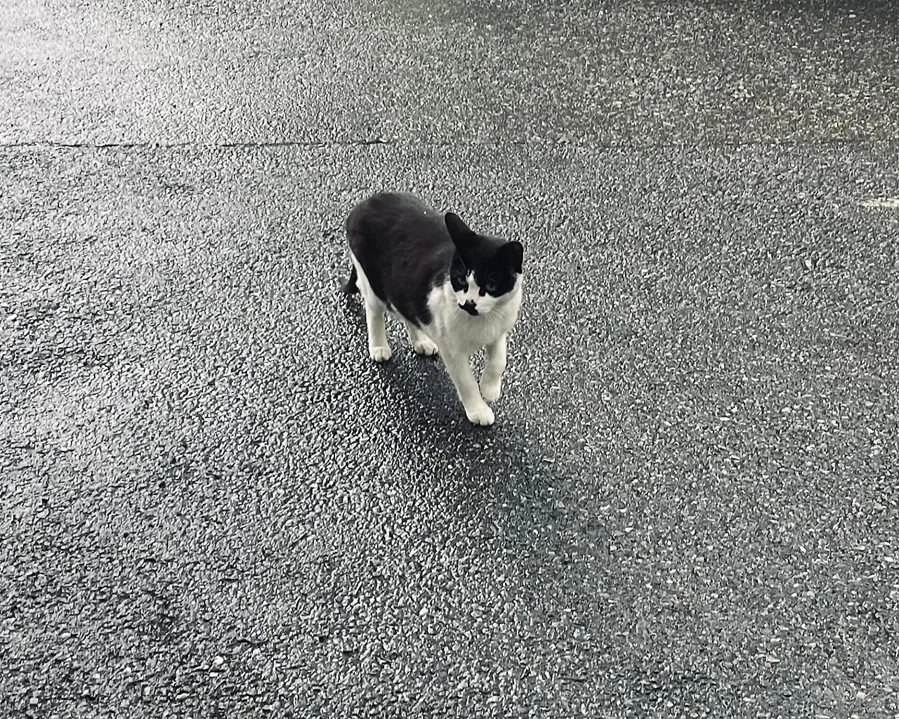 IMG%EF%BC%BF6823.jpg?type=w1600