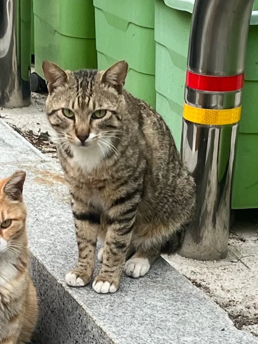 output%EF%BC%BF2872446434.jpg?type=w1600