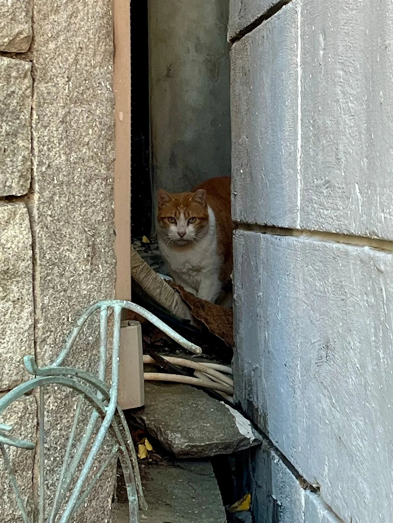 IMG%EF%BC%BF4467.jpg?type=w1600