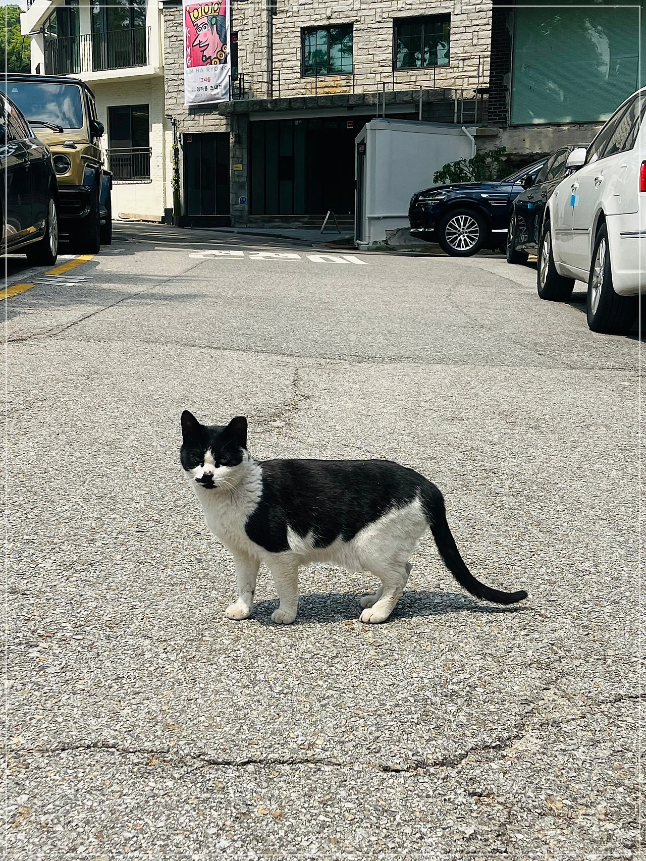 IMG_3546.jpg?type=w1600