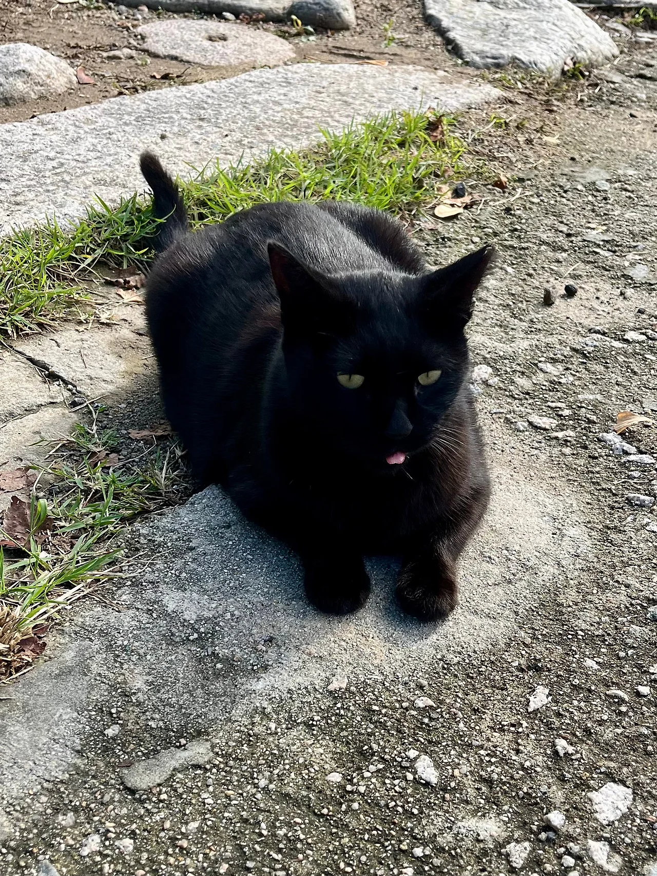 IMG%EF%BC%BF3215.jpg?type=w1600