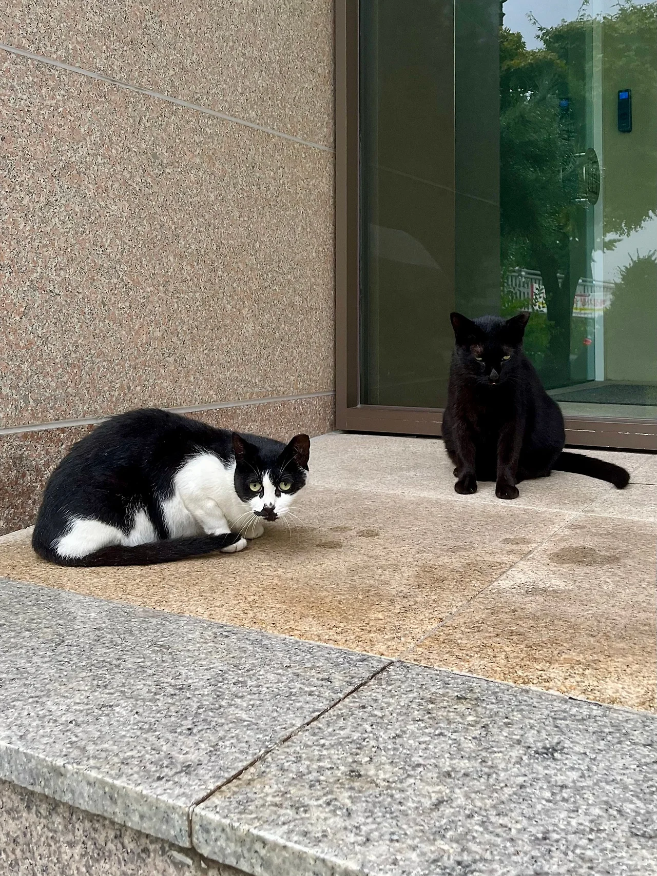 IMG%EF%BC%BF0833.jpg?type=w1600