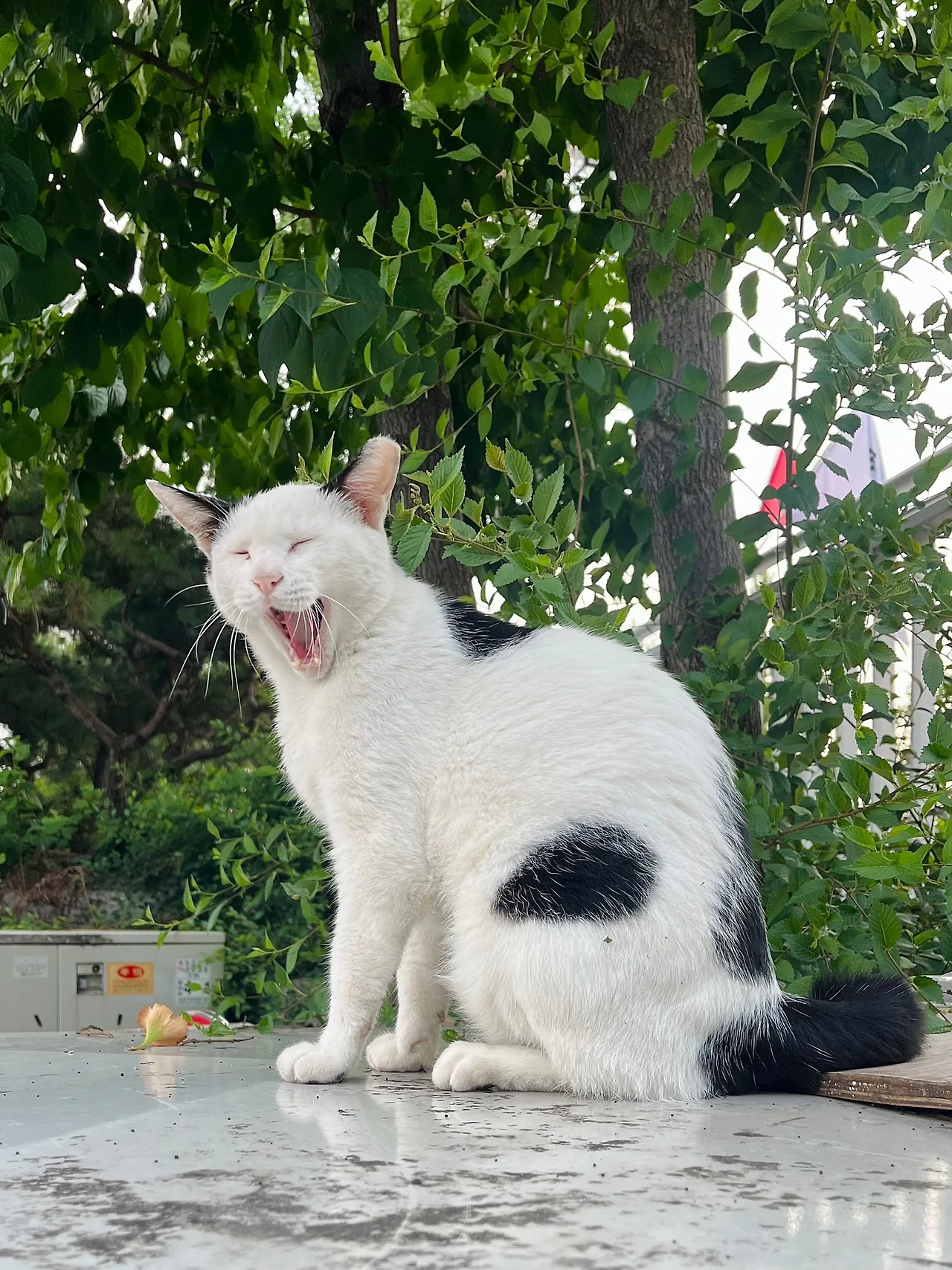 IMG%EF%BC%BF9947.jpg?type=w1600