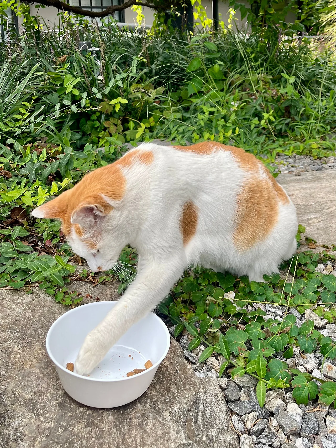 IMG%EF%BC%BF1924.jpg?type=w1600