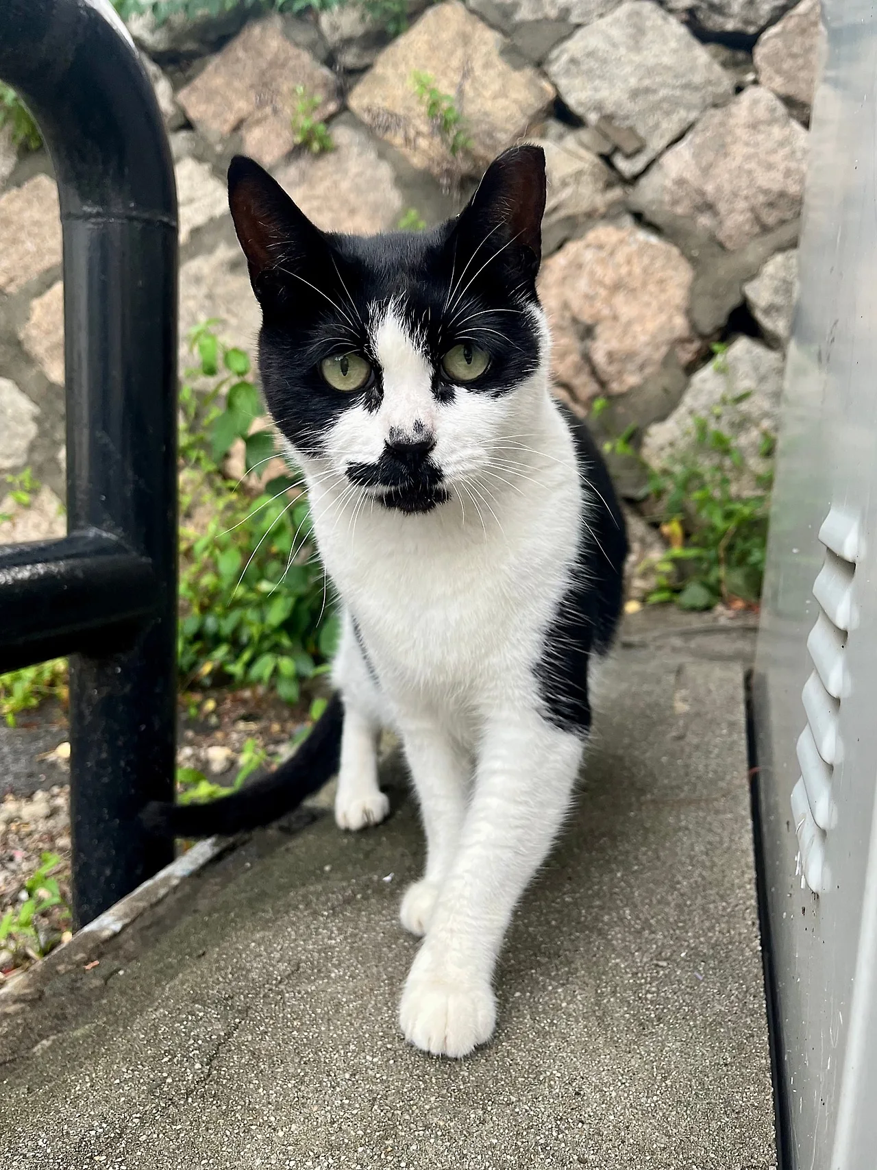 IMG%EF%BC%BF1650.jpg?type=w1600