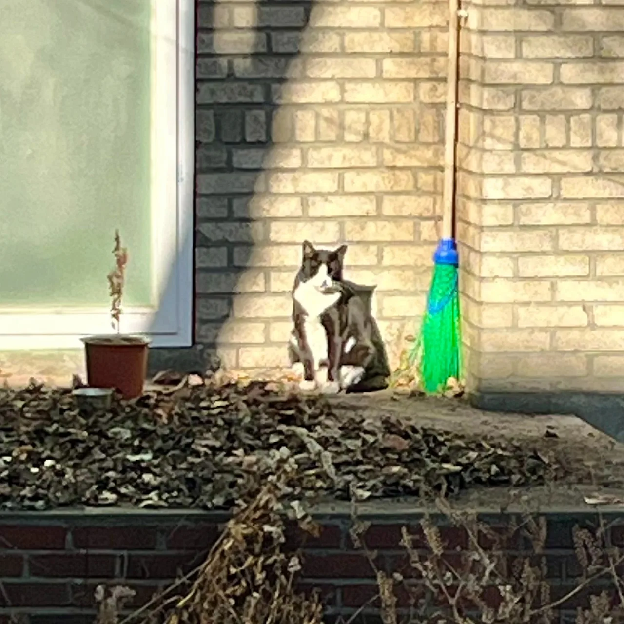 SE-999DD294-5624-4CF5-9A04-CEE0569FA18B.jpg?type=w1600