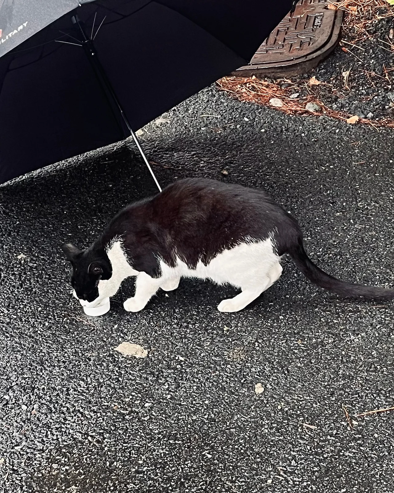 IMG%EF%BC%BF6831.jpg?type=w1600