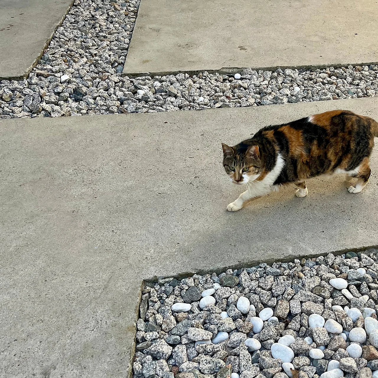 IMG%EF%BC%BF1128.jpg?type=w1600